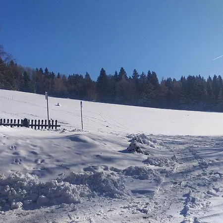 Na Losenici Chalet *