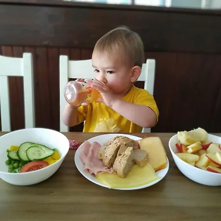 Chalet Na Losenici Nicov (Prachatice)