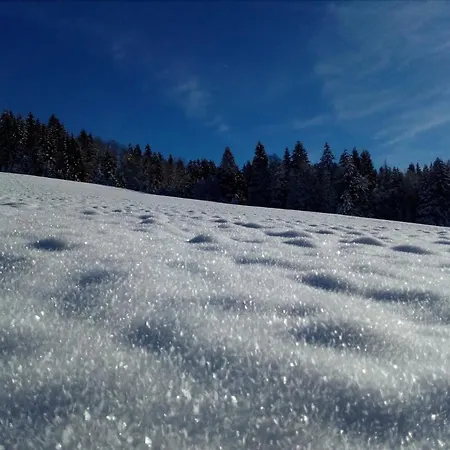 Na Losenici